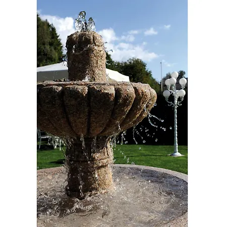 Stella Alpina E Ristorante מלון דרוניו