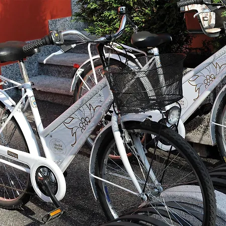 Stella Alpina E Ristorante Druogno